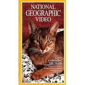 National Geographic Video: Cats: Caressing the Tiger [VHS]
