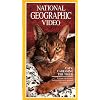 National Geographic Video: Cats: Caressing the Tiger [VHS]