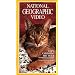 National Geographic Video: Cats: Caressing the Tiger [VHS]