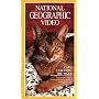 National Geographic Video: Cats: Caressing the Tiger [VHS]