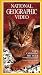 National Geographic Video: Cats: Caressing the Tiger