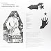 AN EVOLUTIONARY MUSIC: ORIGINAL RECORDINGS 1972-79
