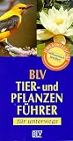Produkt-Bild: BLV Tier- und Pflanzenf&uuml;hrer f&uuml;r unterwegs