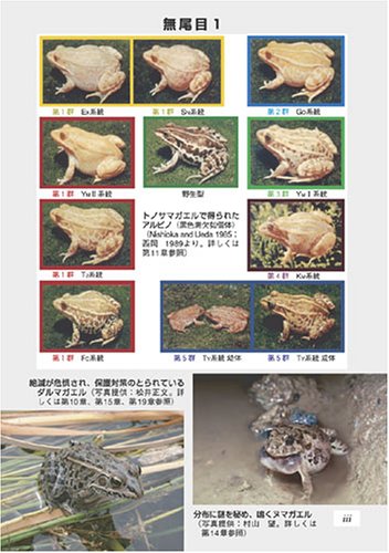 Cover image : これからの両棲類学