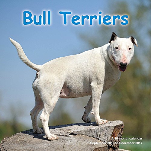 Bull Terrier Calendar - 2017 Wall Calendars - Calendar 2016 - Dog Breed Calendars - Monthly Wall Calendar by Magnum