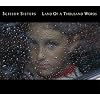 Land of a Thousand Words [7" VINYL]
