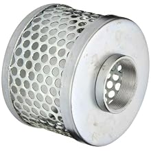 PT Coupling Carbon Steel  Round Hole Pump Suction Strainer, 2"