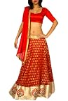 Red Banarasi Lehenga with Embroidery