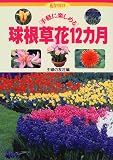 手軽に楽しめる球根草花12カ月 (花作りガイド)