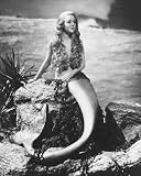 GLYNIS JOHNS 10X8 (25X20cm) B&W PHOTO