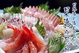 日本海の海の幸!刺身セット