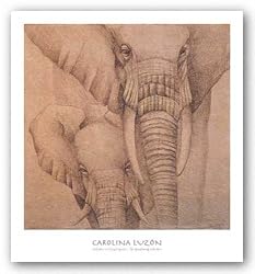 Elefantes En El Papel Quatro by Carolina Luzon 16"x16" Art Print Poster Latin