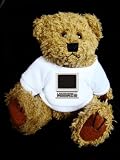 Teddy Bear mit Computer t-shirt