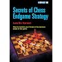 Secrets of Chess Endgame Strategy (Chess College S.)
