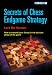 Secrets of Chess Endgame Strategy