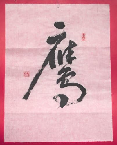 Hand Written Chinese Calligraphy on Rice Paper "YING“ - Eagle 14x18