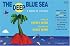 The Deep Blue Sea: A Book Of Colors