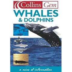 Whales and Dolphins (Collins GEM)