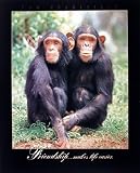 Chimpanzee 16 x 20 Animals Art Print Posters