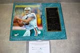 Dan Marino Autographed Miami Dolphins Career Statistics Wall Plaque w/ COA