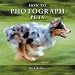 How to Photograph Pets
