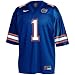 Nike Florida Gators Royal Blue #1 Replica Football Jersey
