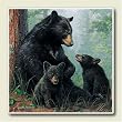 AbsorbaStone Coaster set~ Black Bears ~4 Tile Drink Coasters ~ code 259C