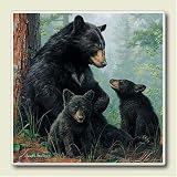 AbsorbaStone Coaster set~ Black Bears ~4 Tile Drink Coasters ~ code 259C