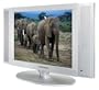 Magnavox 15MF200V 15-Inch LCD Flat-Panel Stereo TV