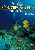 Rotes Meer - S&uuml;dliches &Auml;gypten - Tauchf&uuml;hrer - Tyrid Engstler, G&uuml;nter Wenny