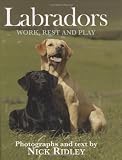 Labradors : work, rest and play