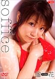 瑠花 Soffice