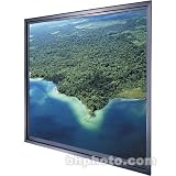 Da-Lite Da-Plex Unframed HDTV Format Rear Projector Screen