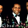Image of Gibson Brothers