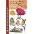 Guide des fleurs de montagne