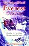 The Other Side of Everest: Climbing the North Face Through the Killer Storm