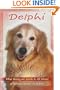 Delphi: What Being on Earth Is All About