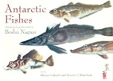 Antarctic Fishes