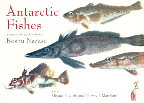  Antarctic Fishes