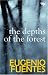 Depths of the Forest