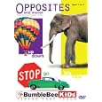 Buy Opposites and More