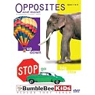 Opposites and More by Children DVDs
