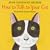 How to Talk to Your Cat
