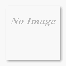 Childrens Toyshop  Sporting Goods : Shield® 40'' Aluminum Goalie Stick (EA)