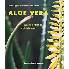 Aloe Vera - Was die Pflanze wirklich kann