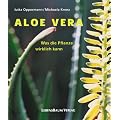 Aloe Vera - Was die Pflanze wirklich kann