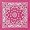 Fuchsia Paisley