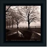 After The Rain By Harold Silverman Art Print Poster Picture Framed Decor 10X10 by Framed Art Tilliams