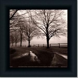 After The Rain By Harold Silverman Art Print Poster Picture Framed Decor 10X10 by Framed Art