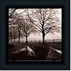 After The Rain By Harold Silverman Art Print Poster Picture Framed Decor 10X10